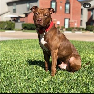 Meet your Posher, Abraham